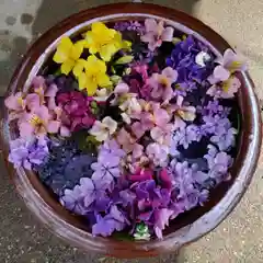 七重浜海津見神社(北海道)