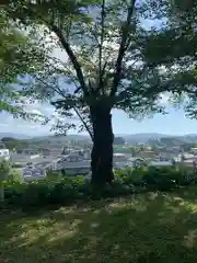 鳥谷崎神社の自然