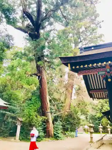 香取神宮(千葉県)