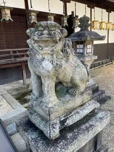 薬園八幡神社の狛犬