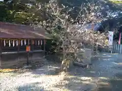 板倉雷電神社の建物その他