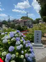 柳崎氷川神社(埼玉県)