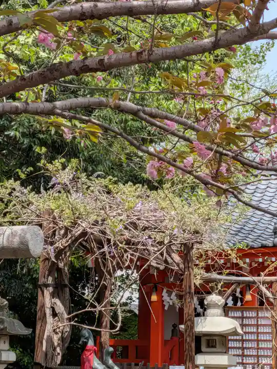 藤神稲荷神社(東京都)