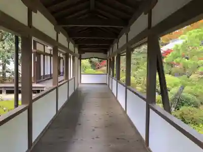 隨心院(随心院)(京都府)