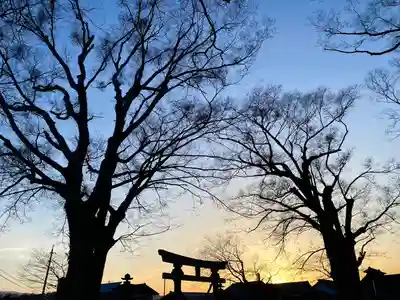 白鳥神社(長野県)