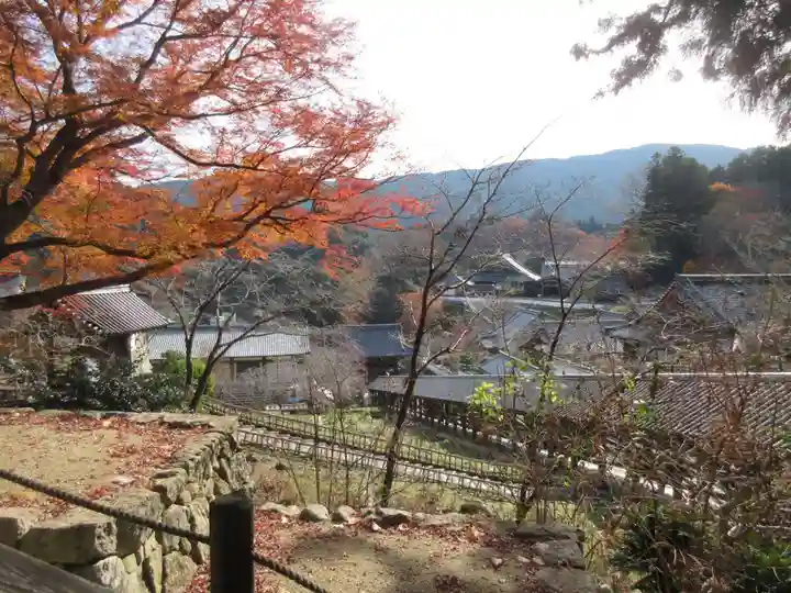 長谷寺(奈良県)