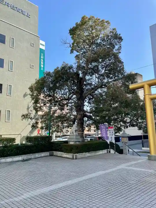 城岡神社の{uncategorized: "未分類", other: "その他", undefined: "問題あり", building: "その他建物", grave: "お墓", sacred_gate: "鳥居", guardian: "狛犬", statue: "像", buddha: "仏像", history: "歴史", nature: "自然", garden: "庭園", animal: "動物", pagoda: "塔", temizu: "手水舎", mountain_gate: "山門・神門", sanctuary: "本殿・本堂", subordinate: "末社・摂社", art: "芸術", scenery: "景色", jizo: "地蔵", ema: "絵馬", goshuin: "御朱印", omikuji: "おみくじ", items: "授与品その他", amulet: "お守り", goshuincho: "御朱印帳", eats: "食事", festival: "お祭り", votive_dance: "神楽", shichigosan: "七五三参", wedding: "結婚式", experience: "体験その他", initially: "初詣", around: "周辺", anti_infection: "感染症対策"}