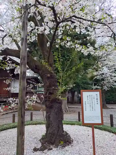 靖國神社(東京都)