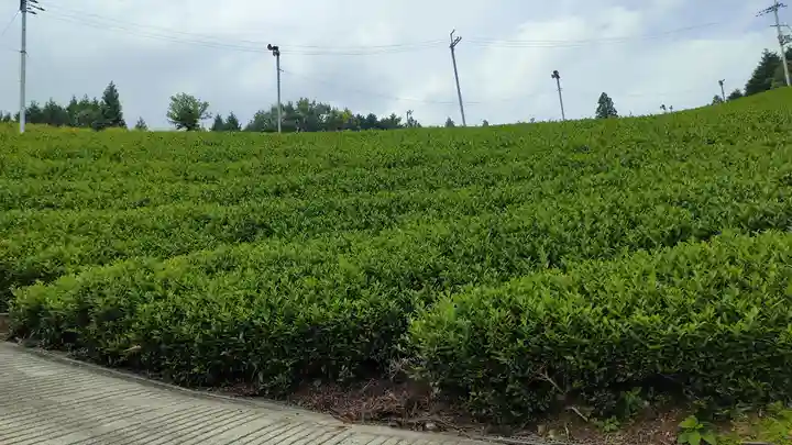 正寿院(京都府)