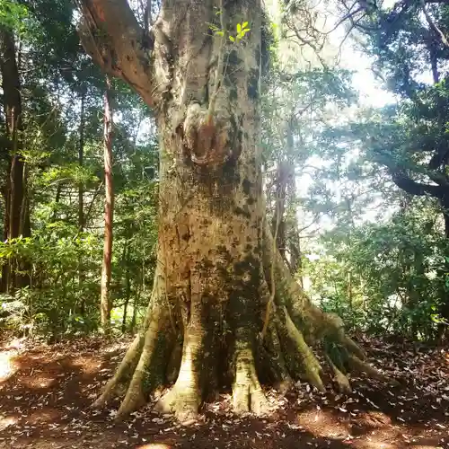 鹿島神宮の自然