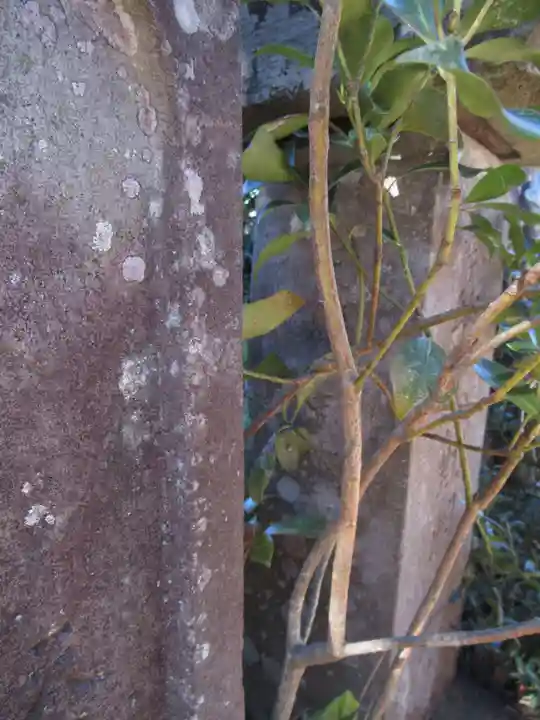 今泉山 不動明王堂(千葉県)