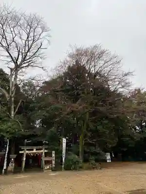 手力雄神社(岐阜県)