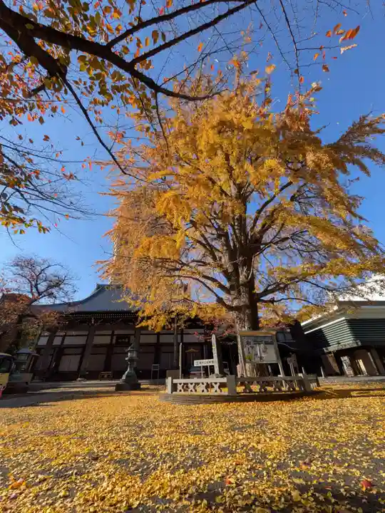 善福寺(東京都)