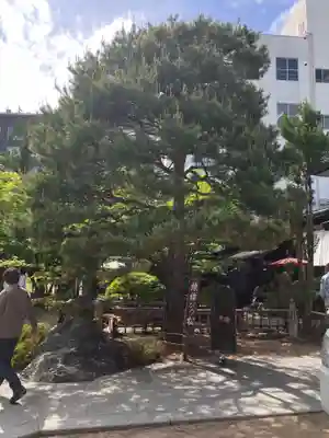 四柱神社の自然