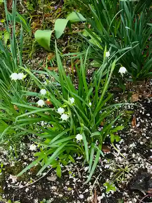 長光寺(長野県)