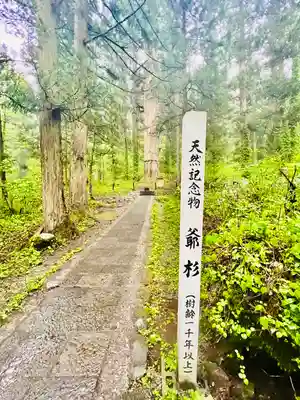 羽黒山五重塔(出羽三山神社)(山形県)