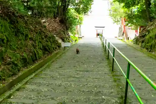 新田神社(鹿児島県)