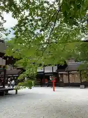 河合神社（鴨川合坐小社宅神社）(京都府)