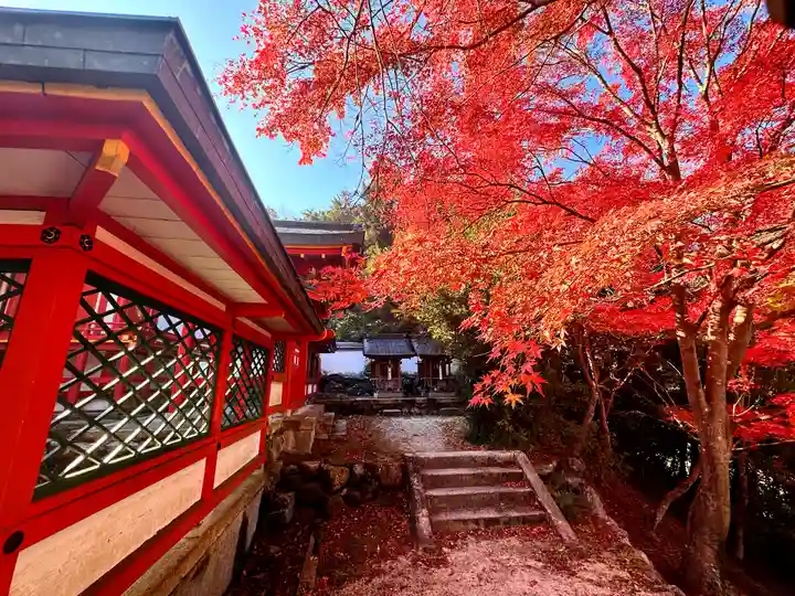 佐久奈度神社(滋賀県)