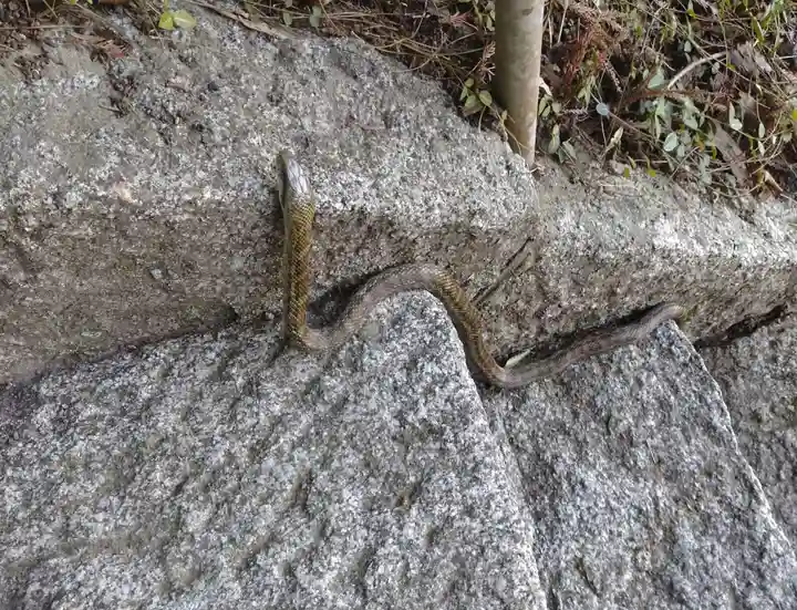 折石神社(宮城県)