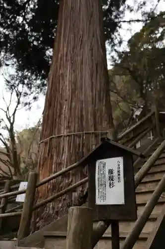 八女津媛神社(福岡県)