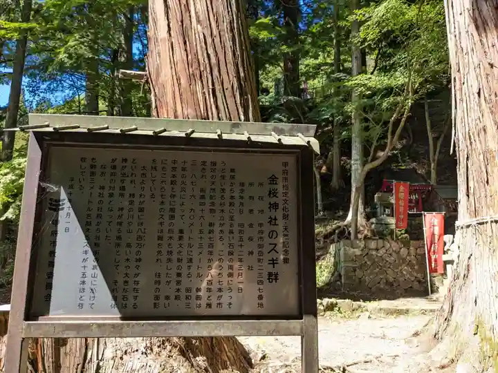 金櫻神社(山梨県)