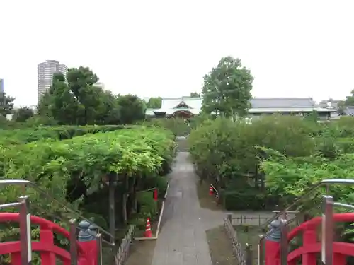 亀戸天神社の庭園
