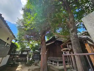 雪塚稲荷神社(埼玉県)