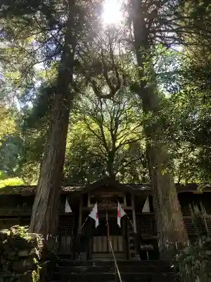 白水阿蘇神社の本殿・本堂