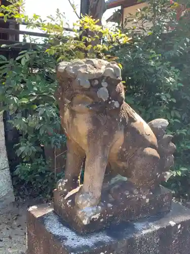 蹉跎神社の狛犬