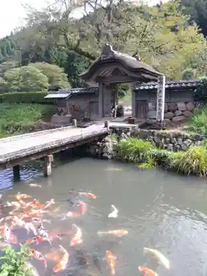 朝倉神社(福井県)