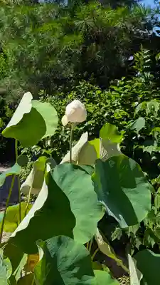 後白河院御聖蹟　法住寺(京都府)