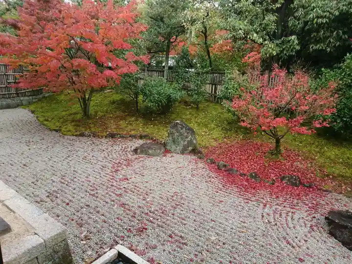 相国寺(相国承天禅寺)の庭園