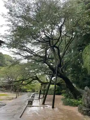 三角寺(愛媛県)