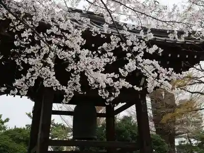 豪徳寺のその他建物