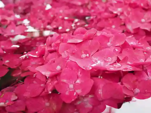 春日神社の手水舎