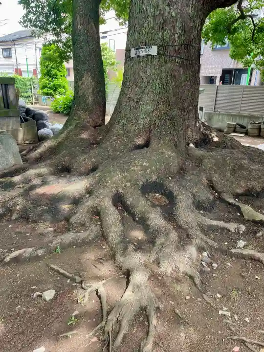 養福寺(東京都)