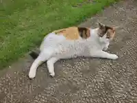 浄光院(栃木県)