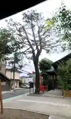 猿田彦神社の周辺