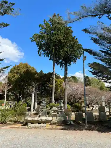 浄土寺の庭園