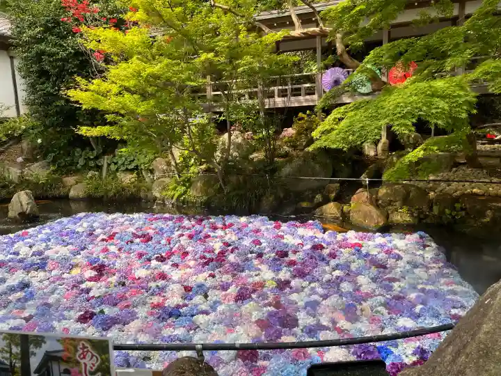 楽法寺(雨引観音)(茨城県)