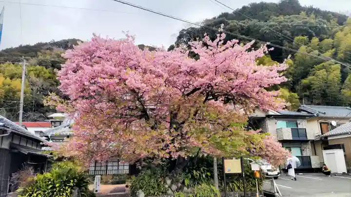川津来宮神社(静岡県)