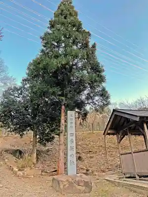 大縣神社のその他建物