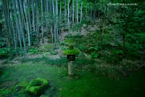 報国寺(神奈川県)