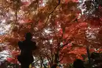 三春大神宮の自然