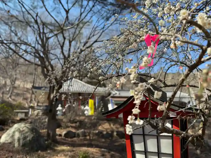 不動寺(埼玉県)