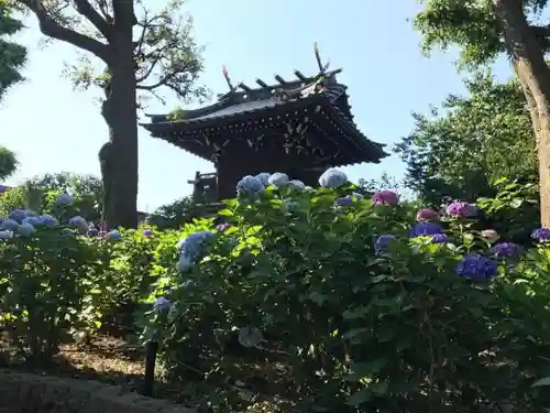 白山神社の本殿