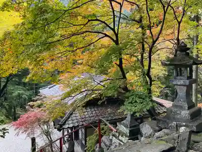 橋立堂(埼玉県)