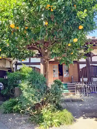 佛心寺(東京都)