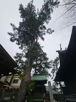 新潟大神宮(新潟県)
